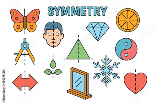 Symmetry flat icon set. featuring butterfly, face, diamond, orange, compass, plant, pyramid, snowflake, mirror, heart, yin yang symbols