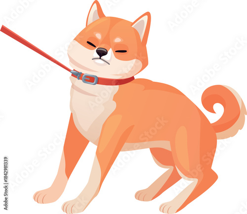 Stubborn dog on leash. Cartoon shiba inu walking