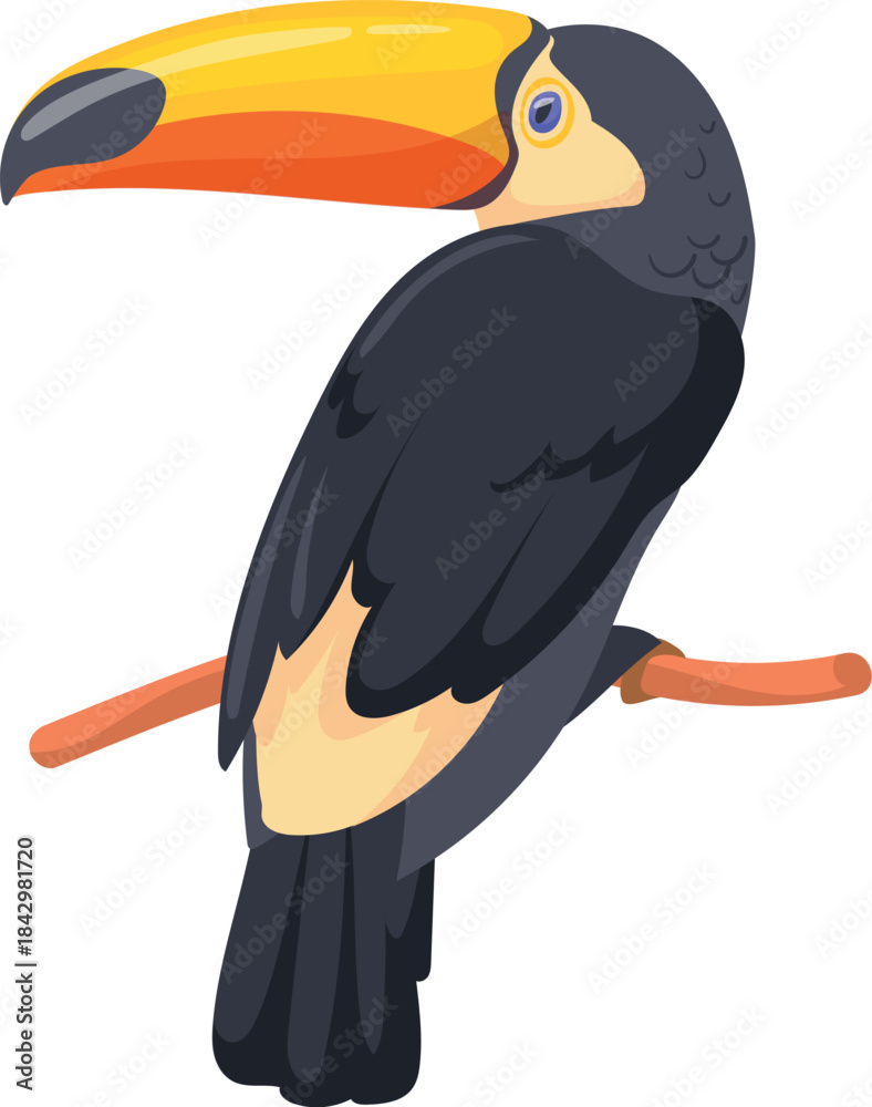 Fototapeta premium Toucan cartoon icon. Paradise bird with big beak