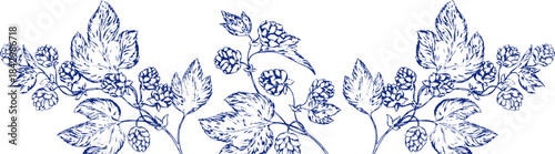 Watercolor banner border background toile de jouy featuring hop branches, cones and leaves, ideal for beer branding, brewing presentations or botanical and floral themed designs. Floral, leaves.