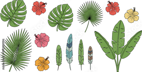 Tropical leaves and flowers illustration, colorful palm, monstera, hibiscus, and feathers on white