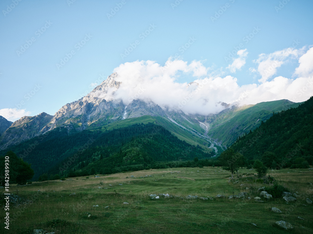 Obraz premium Mountain landscape with green meadow in foreground, forested slopes and dramatic clouds above rugged peaks, wide valley scene perfect for nature travel and outdoor exploration