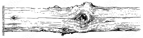 Hand drawn vector illustration of a horizontal wooden log with a large knot