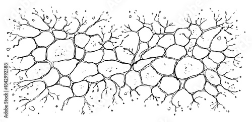 Texture of cracked dry ground or stone surface showing deep fissures and fractures