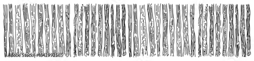 Hand drawn vector texture of vertical wood grain lines or tree bark
