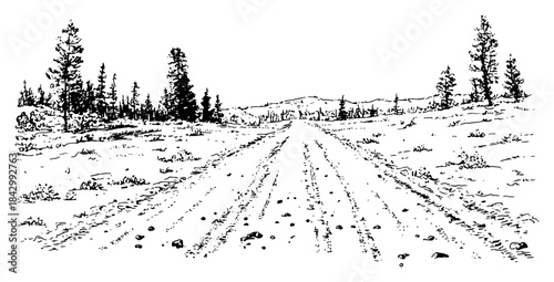 Perspective sketch of a country dirt road leading towards a pine forest