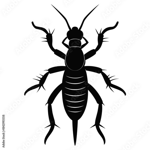 Earwig Black Silhouette Vector – Clean White Background Design