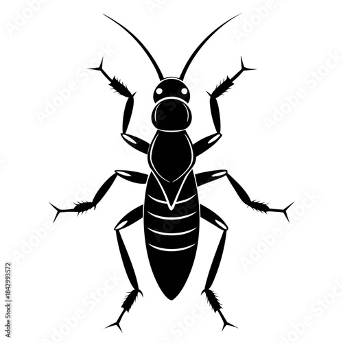 Earwig Black Silhouette Vector – Clean White Background Design