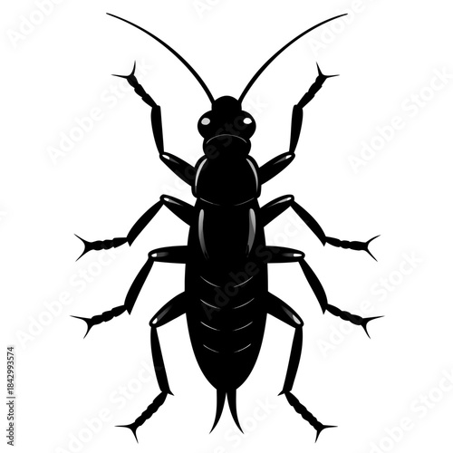 Earwig Black Silhouette Vector – Clean White Background Design