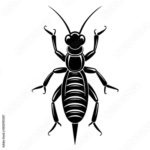 Earwig Black Silhouette Vector – Clean White Background Design