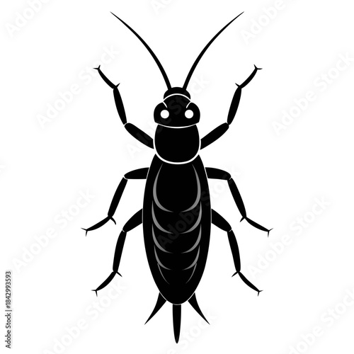Earwig Black Silhouette Vector – Clean White Background Design