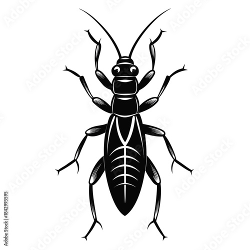 Earwig Black Silhouette Vector – Clean White Background Design
