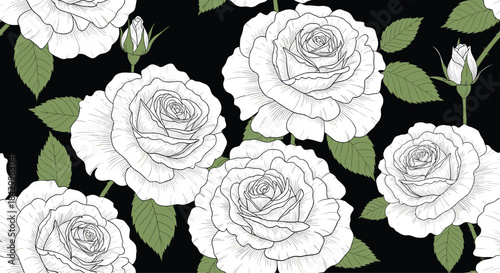Exquisite seamless pattern of elegantly drawn white roses with vibrant green leaves, showcasing intricate botanical details on a striking black background.