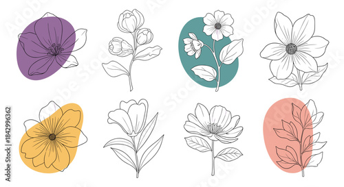 Versatile collection of eight distinct outline floral illustrations, each elegantly positioned with a unique abstract pastel color block background, perfect for modern botanical designs.