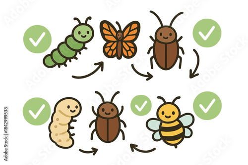 Cartoon of a caterpillar, a butterfly, a beetle, and a bee