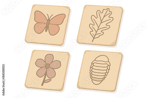 Natural History Specimens. Isometric vector illustration set Natural history documentation: parchment specimens, careful ink