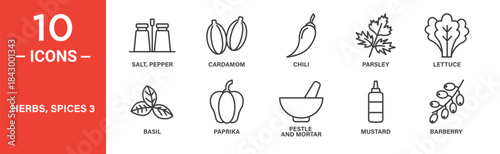 Herbs and spices icon set. Culinary herb and seasoning vector symbols in black outline style.