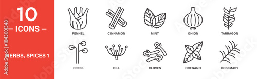 Herbs and spices icon set. Culinary herb and seasoning vector symbols in black outline style.