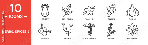 Herbs and spices icon set. Culinary herb and seasoning vector symbols in black outline style.