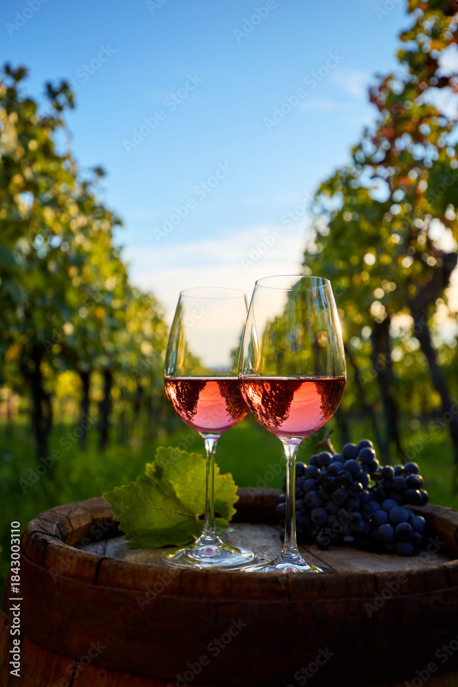 Obraz premium Two glasses of rose wine on an old wooden barrel in a vineyard between rows 