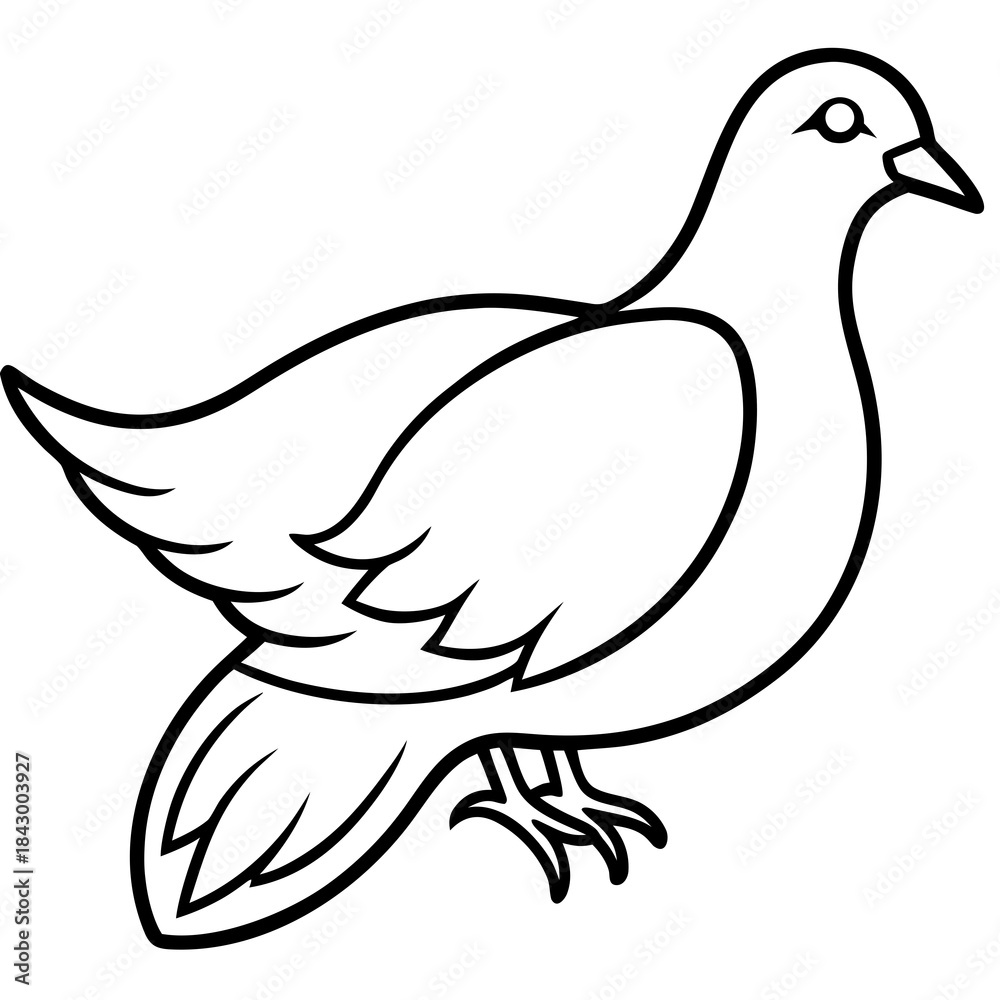 Obraz premium Elegant Dove Linear Vector Design White Background