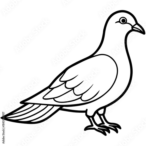 Elegant Dove Linear Vector Design White Background