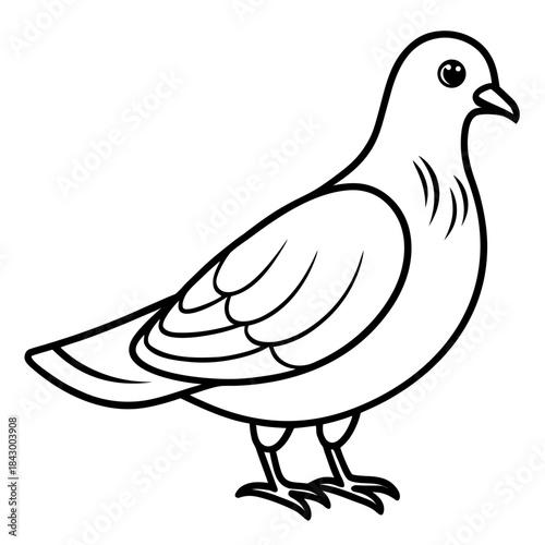 Elegant Dove Linear Vector Design White Background