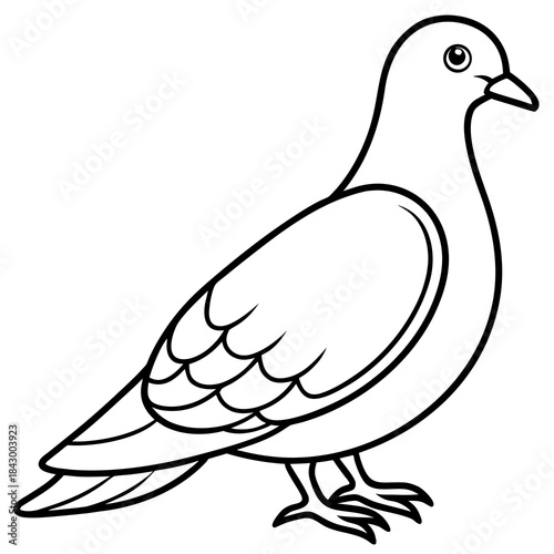 Elegant Dove Linear Vector Design White Background