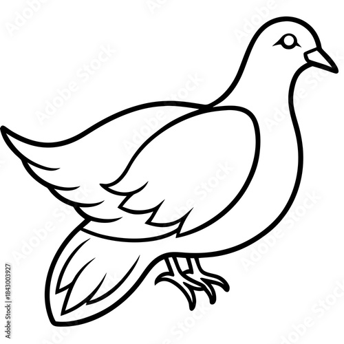 Elegant Dove Linear Vector Design White Background