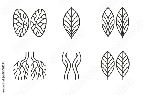 Natural Pattern Icons. Icons for: mirrored organic network prints, duplicated vein pattern etchings, symmetrical leaf channel