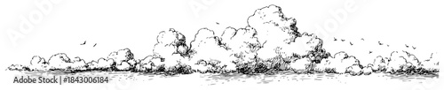 Hand drawn panoramic sketch of fluffy cumulus clouds and flying birds