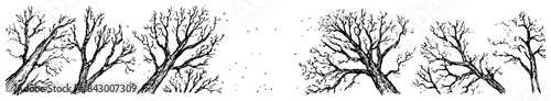 Row of bare winter trees with branches horizontal border sketch