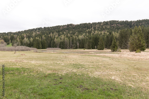 A photo of Ecchen Peat Bog Biotope