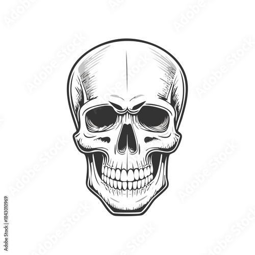 Intricate skull drawing with detailed line work evoking mortality and symbolism in a monochrome illustration