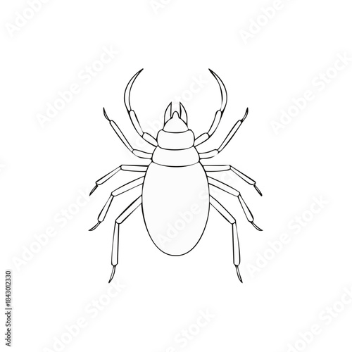 Illustration of a tick, a blood-sucking parasite, linear drawing, insect on a white background