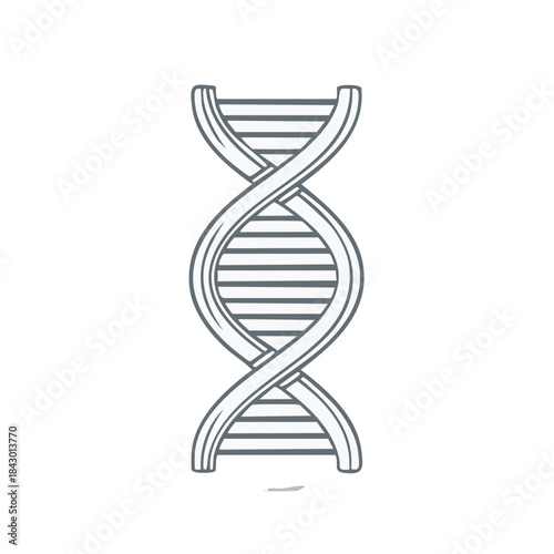 DNA double helix illustration representing genetic code heredity and biological structure