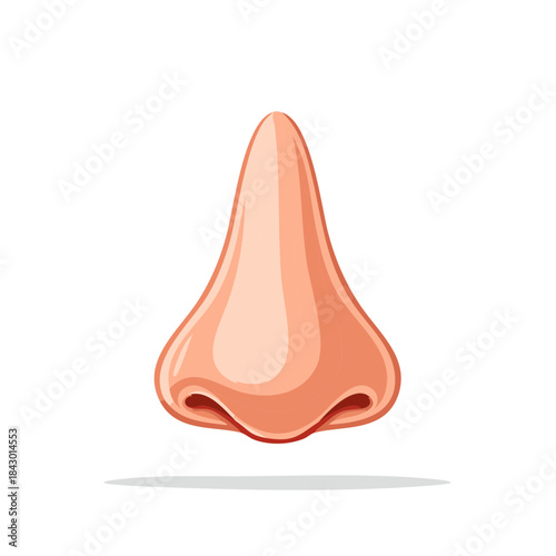 Human nose anatomical illustration for medical, health, or educational purposes