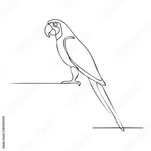 Line art parrot portrait elegant single line drawing exotic bird minimalist outline design tropical fauna perching on branch