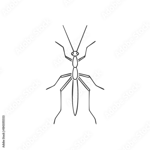 Praying Mantis Line Art: Simple Vector Illustration of Insect on White