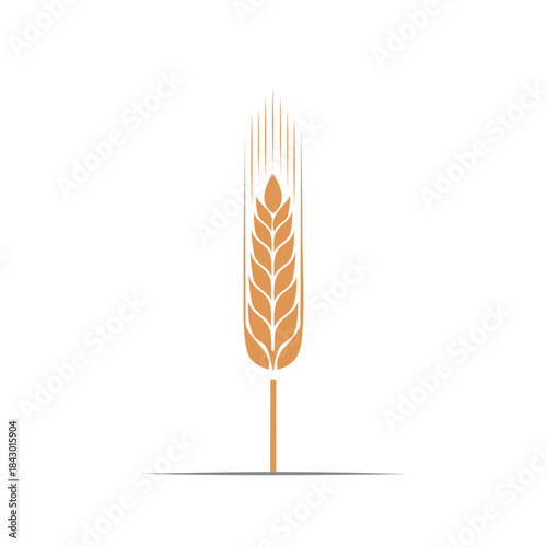 Single wheat stalk illustration featuring grains and seedhead against white background for advertising agricultural crops harvest season