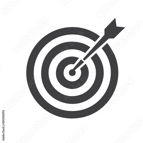 Arrow hits center target in archery with concentric circles denoting precision focus