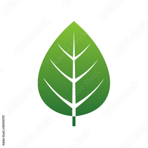 Green Leaf Icon, Natural Symbol, Organic and Sustainable Living Emblem