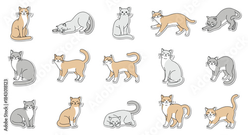Collection of fifteen relaxed and curious cats in gray and orange tones posed in playful stances across a white background.