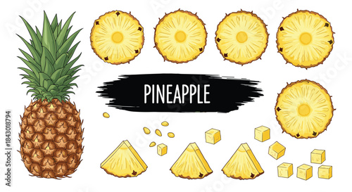 Vibrant pineapple display featuring a whole pineapple round slices wedges and small cubes to showcase fresh tropical fruit options.