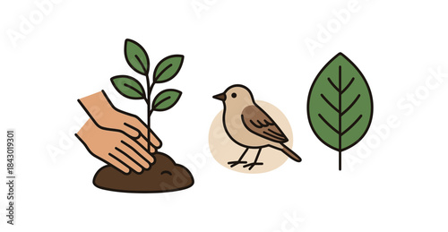 Flat vector illustration of planting native habitat: hands planting sapling small bird nearby and native leaf icon rounded shapes clean outline clean white background