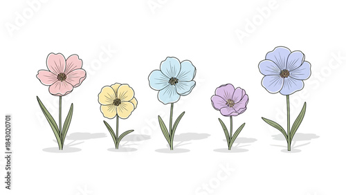 Vector illustration of early spring flowers bloomin