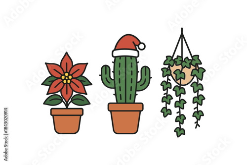 Flat vector illustration of festive houseplant decor: poinsettia cactus with hat and hanging ivy rounded shapes clean outline clean white background