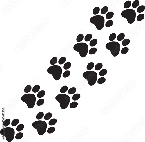 Paw Prints Trail Silhouette – Animal Footprint Path Vector