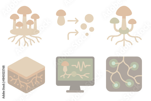 Underground Ecosystem Network. Isometric vector illustration set of underground ecosystem communication: mushroom node cluster,