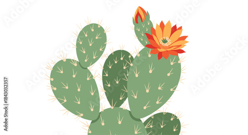 Prickly pear cactus pads cluster together with a bright orange flower blooming atop the succulent growth against a clean white background.
